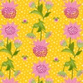 Colorful seamless floral pattern. Bright color flowers of astrantia Royalty Free Stock Photo