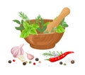 Mortar and pestle, herbs and spices isolated on white background. Vector illustration Royalty Free Stock Photo