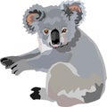 Grey Koala Mammal Animal Vector Illustration Royalty Free Stock Photo