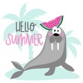 Hello Summer- Cute walrus with watermelon and island. Isloated on white background.