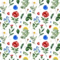 Watercolor Summer collection with leaves,daisies flowers,poppy,cornflower, berry,branches Royalty Free Stock Photo