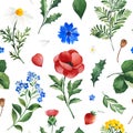 Watercolor Summer collection with leaves,daisies flowers,poppy,cornflower, berry,branches Royalty Free Stock Photo