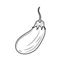 Simple Eggplant hand drawn vector illustration Royalty Free Stock Photo