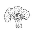 Simple hand drawn of Broccoli vector illustration