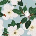 Seamless floral pattern with white tropical magnolia flowers with leaves on vintage blue background. Royalty Free Stock Photo