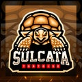 Sulcata tortoise mascot. esport logo design