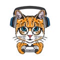 Vector illustration cool cat holding gaming controller flat cartoon style
