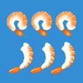 Prawn isolate illustion vector on blue background, shrimp vector