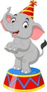 Cartoon funny circus elephant standing Royalty Free Stock Photo