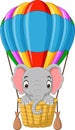 Cartoon baby elephant riding a hot air balloon Royalty Free Stock Photo