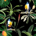 Exotic jungle plants illustration pattern with toucan bird. Creative collage contemporary floral seamless pattern.