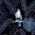 Toucans, blue palm leaves, black background. Floral seamless pattern. Tropical illustration. Exotic plants, birds.
