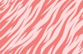 Stripe animal jungle bengal tiger fur texture pattern white and pink print Royalty Free Stock Photo