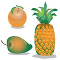 A Set of Tropical Fruits Royalty Free Stock Photo