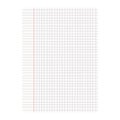 Blank Sheet of Paper in Cage Isolated on White Background Royalty Free Stock Photo