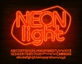 Neon light alphabet font. Orange neon letters, numbers and punctuation.