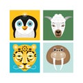 Penguin, sheep, walrus and leopard. Royalty Free Stock Photo