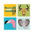 Crocodile, flamingo, elephant and bull Royalty Free Stock Photo