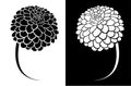 Mandala look like Dalia flower design concept Royalty Free Stock Photo