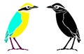 Colourful, black and white bird art Royalty Free Stock Photo