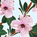 Seamless floral pattern with pink tropical magnolia flowers with leaves on blue background. Royalty Free Stock Photo