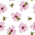 Seamless pattern of pink magnolia flowers wuth bee seamless pattern. Royalty Free Stock Photo