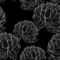 Seamless pattern with a black white line Chrysanthemum Flowers natural ornament. Royalty Free Stock Photo