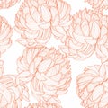 Seamless pattern with a orange line Chrysanthemum Flowers natural ornament.