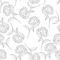 Seamless pattern with a black line Chrysanthemum Flowers natural ornament. Royalty Free Stock Photo