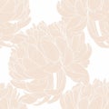 Seamless pattern with a beige Chrysanthemum Flowers natural ornament. Royalty Free Stock Photo