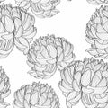 Seamless pattern with a black white line Chrysanthemum Flowers natural ornament. Royalty Free Stock Photo