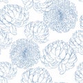 Seamless pattern with a blue line Chrysanthemum Flowers natural ornament. Royalty Free Stock Photo