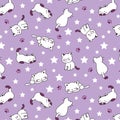 sweet Cats with stars pattern
