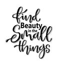 Find beauty in the small things, hand drawn typography poster. T shirt hand lettered calligraphic design