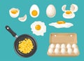 Set of vector white chicken eggs. Royalty Free Stock Photo