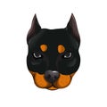 Rottweiler head mascot illustration