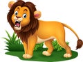 Cartoon lion roaring in grass Royalty Free Stock Photo