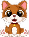 Cartoon funny kitten in red collar sitting