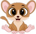 Cute little mouse lemur cartoon sitting