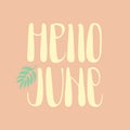 Hello June hand written phrase with leave illustration on pale pink background.