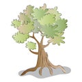 Tree Cartoon Vector Illustration and Drawing Royalty Free Stock Photo