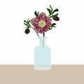 Cute bottle vase bouquet witj hellebore anemone flower for card, poster, flyer and other users.