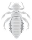 belly lice insect vector illustration transparent background Royalty Free Stock Photo