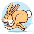Running rabbit clip art illustration Royalty Free Stock Photo