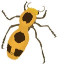 yellow fur insect vector illustration transparent background Royalty Free Stock Photo