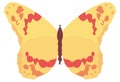 yellow red butterfly insect vector illustration transparent background Royalty Free Stock Photo