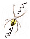 yellow spider in work insect vector illustration transparent background