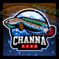 Channa bleheri fish mascot. esport logo design Royalty Free Stock Photo
