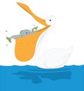 funny great white pelican eat bird vector illustration transparent background Royalty Free Stock Photo