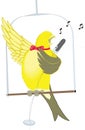 funny yellow canary sing bird vector illustration transparent background
